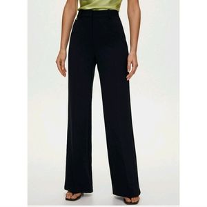 Aritzia Babaton Nostalgia High-Waisted Trousers